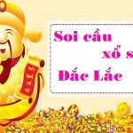Tin CLB SLNA: SLNA có dám dấn thân khi gặp B.BD