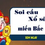 Tin CLB SLNA: SLNA có dám dấn thân khi gặp B.BD