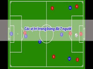 Các vị trí trong bóng đá 7 người không phải ai cũng đều biết