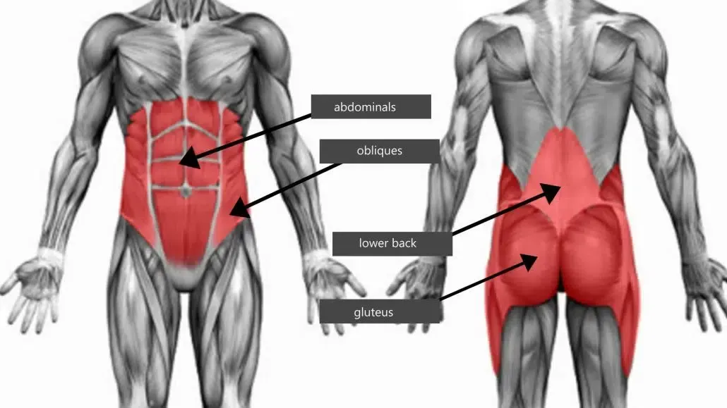 Tập cơ lõi có tác dụng gì? Lợi ích và bài tập tốt nhất